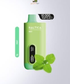 saltica-dijital-10000-puff-mint