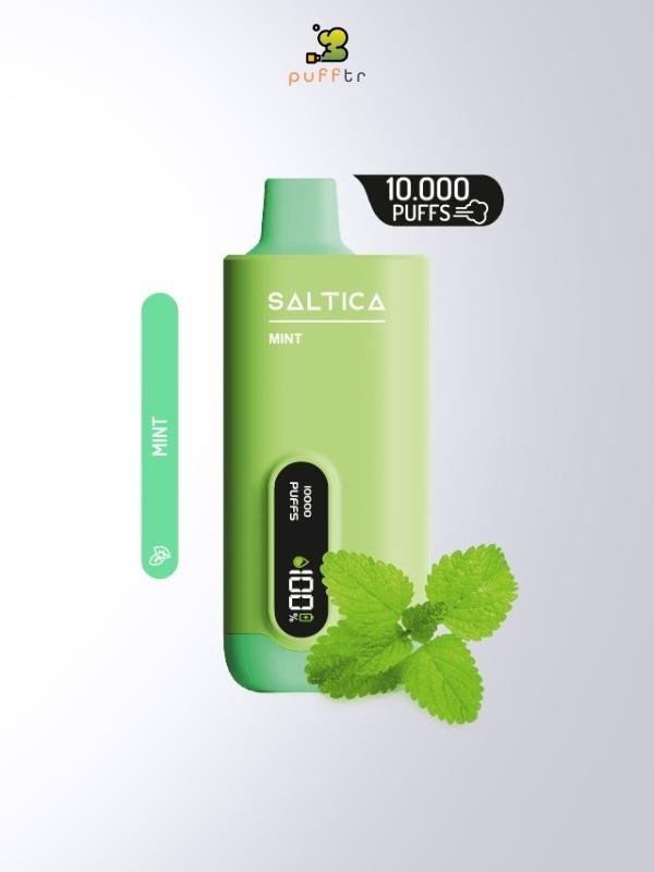 saltica-dijital-10000-puff-mint