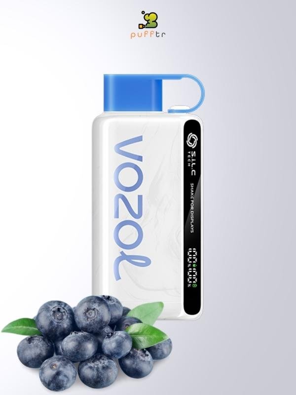 Vozol-Star-12000-Blueberry-Storm