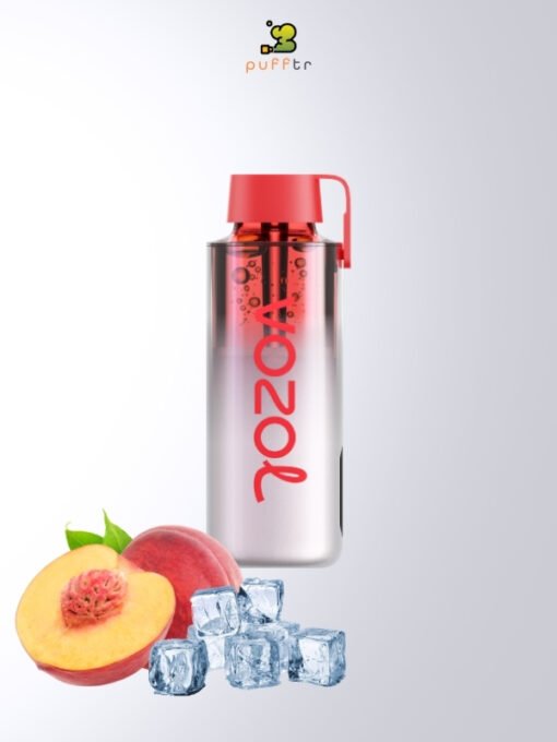 Vozol Neon 10000 Puff Hzl Sipari ve Kapda deme