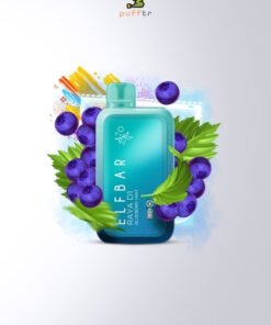 Elf-Bar-Raya-D1-13000-Puff-Blueberry-Mint