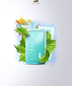 Elf-Bar-Raya-D1-13000-Puff-Miami-Mint