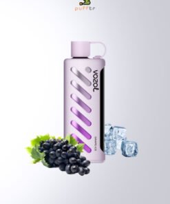 Vozol-Gear-Shisha-25000-Puff-Grape-Ice