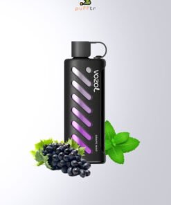Vozol-Gear-Shisha-25000-Puff-Grape-Mint